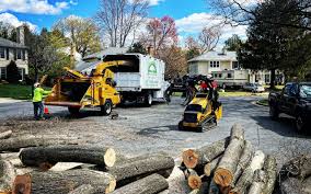 Best Tree Preservation Services  in Rolling Meadows, IL